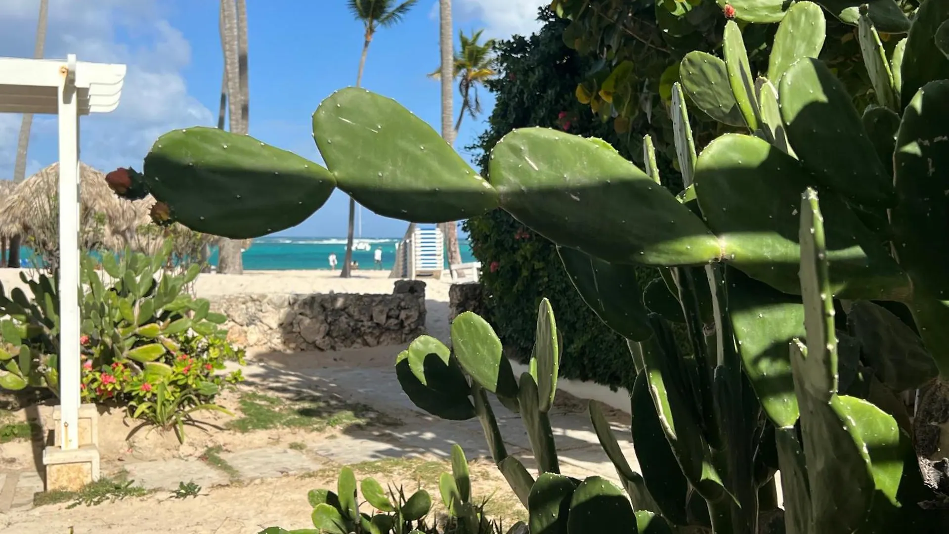 Oreuga Private Beach Sea View Πούντα Κάνα Δομινικανή Δημοκρατία